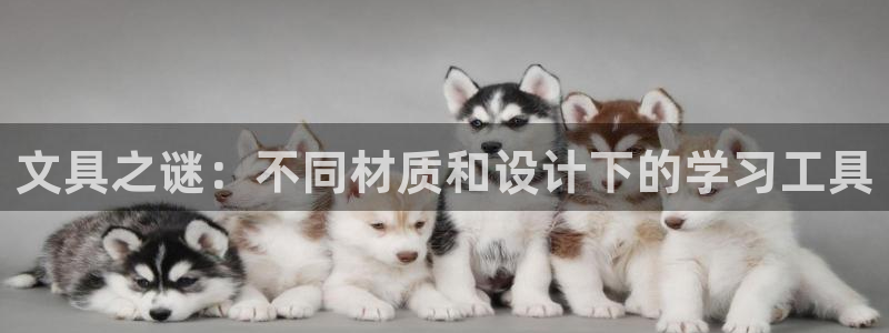 彩名堂客户：文具之谜：不同材质和设计下的