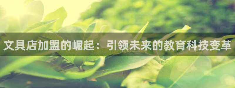 彩名堂移动客户端官网：文具店加盟的崛起：