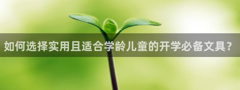 彩名堂是不是坑人的：如何选择实用且适合学