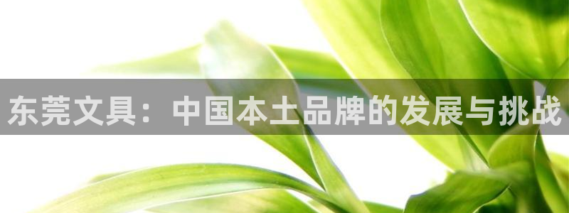 彩名堂和01计划哪个好：东莞文具：中国本