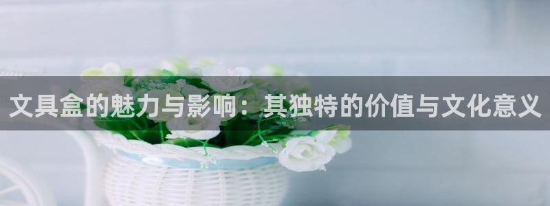 彩名堂计划技巧：文具盒的魅力与影响：其独
