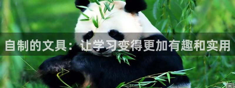 彩名堂官网在线计划：自制的文具：让学习变