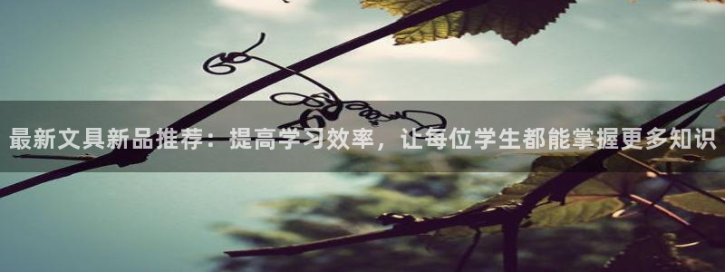 彩名堂和01计划哪个好：最新文具新品推荐