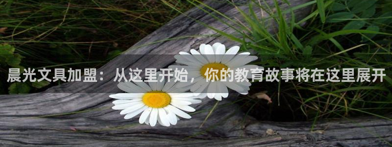 彩名堂苹果版怎么不能用了：晨光文具加盟：