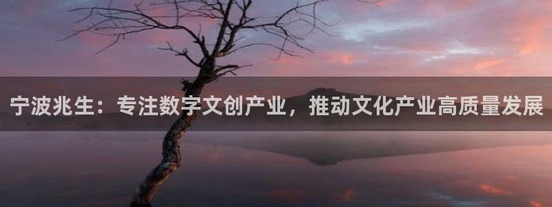 彩名堂客户：宁波兆生：专注数字文创产业，