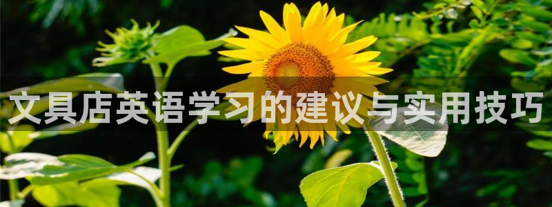 彩名堂计划官方客服：文具店英语学习的建议