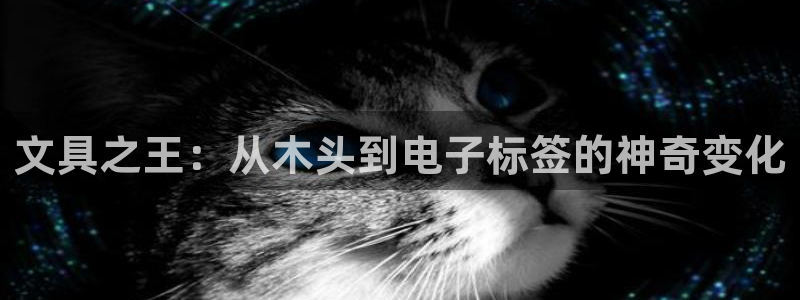 彩名堂双彩网：文具之王：从木头到电子标签