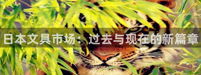 下载彩名堂预测计划软件：日本文具市场：过
