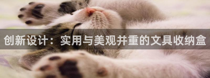 彩名堂预测计划：创新设计：实用与美观并重
