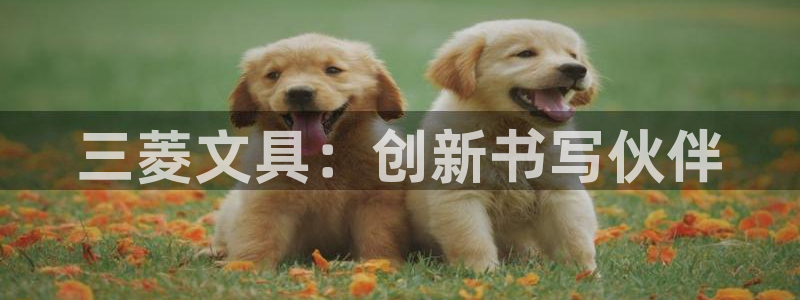 彩名堂人工计划客户端官网：三菱文具：创新