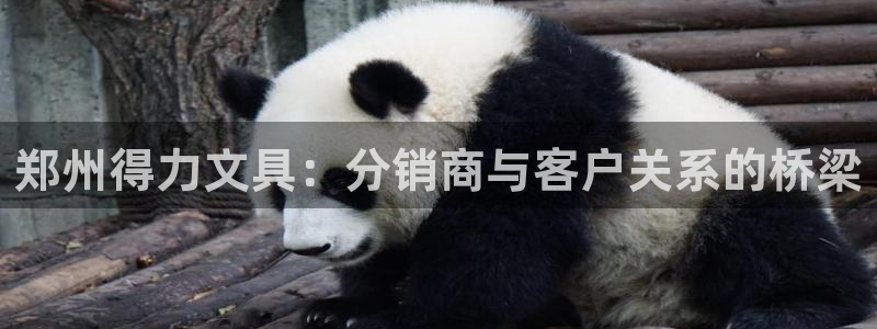 彩名堂使用方法：郑州得力文具：分销商与客