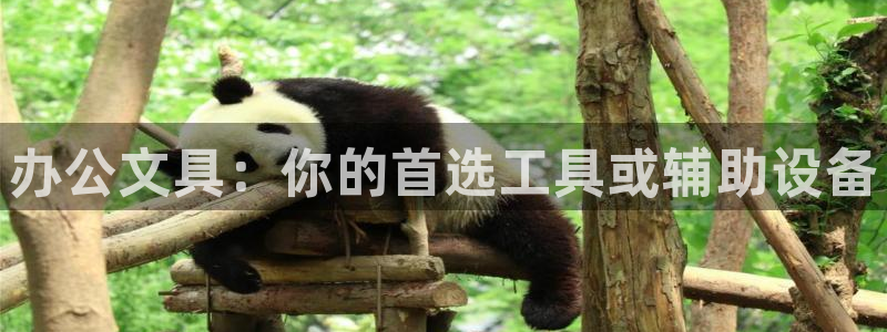 彩名堂app2.05版本：办公文具：你的