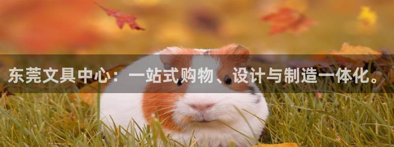 彩名堂还能用吗：东莞文具中心：一站式购物