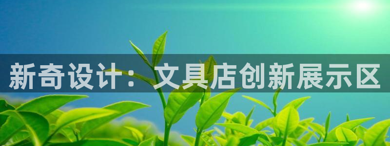 彩名堂预测计划软件：新奇设计：文具店创新