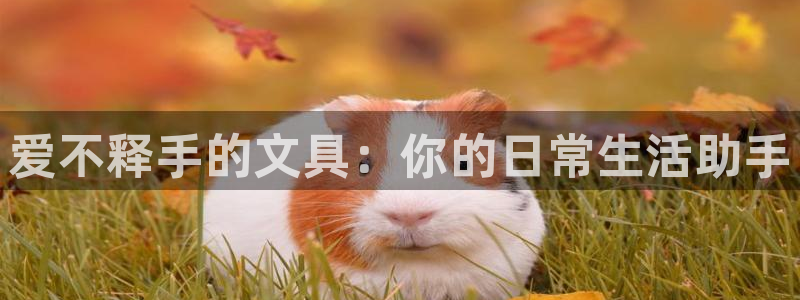 彩名堂官网计划01：爱不释手的文具：你的