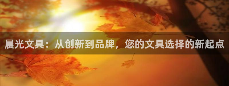 正规彩名堂官网计划：晨光文具：从创新到品