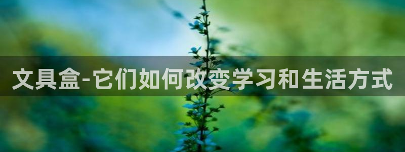 彩名堂预测免费计划怎么看的：文具盒-它们