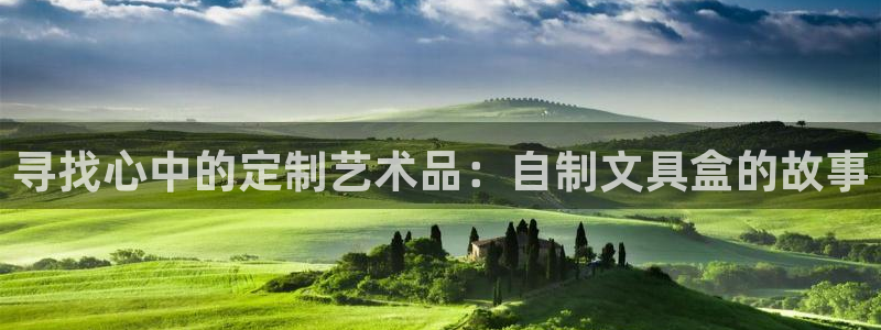 cmt彩名堂：寻找心中的定制艺术品：自制