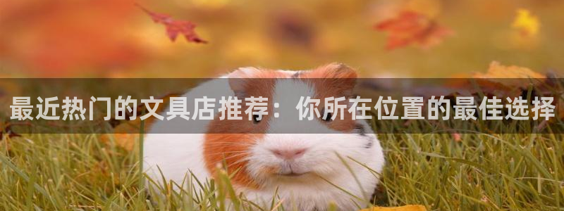 彩名堂免费计划5.0使用方法：最近热门的