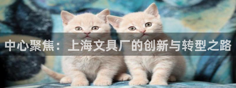 彩名堂免费计划亮点：中心聚焦：上海文具厂