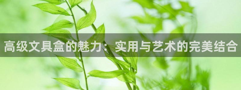 彩名堂计划技巧：高级文具盒的魅力：实用与