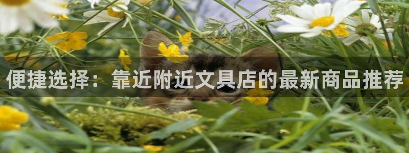 彩名堂：便捷选择：靠近附近文具店的最新商