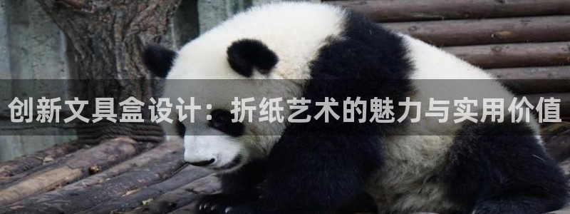 彩名堂不能用了吗：创新文具盒设计：折纸艺
