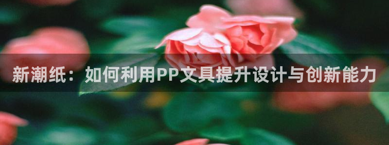 彩名堂计划官方下载网址：新潮纸：如何利用