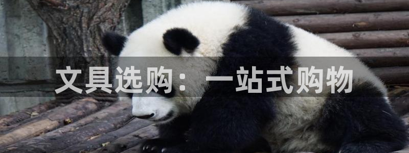 下载彩名堂预测计划软件安全吗：文具选购：