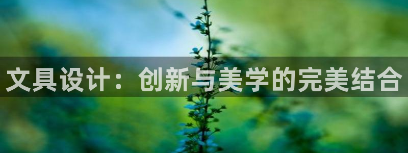 彩名堂app官方网：文具设计：创新与美学