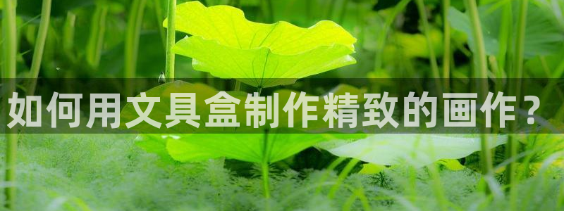彩名堂手机客户端怎么进不去了：如何用文具