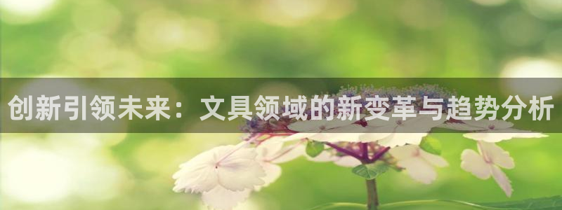 彩名堂怎么不能用了：创新引领未来：文具领