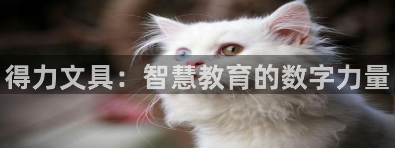 cmt彩名堂：得力文具：智慧教育的数字力