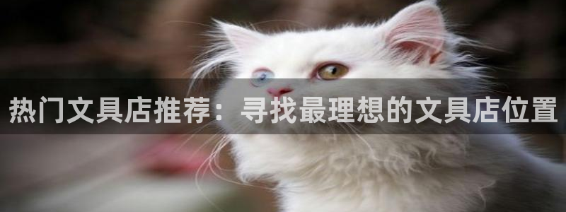 彩名堂.netnet：热门文具店推荐：寻