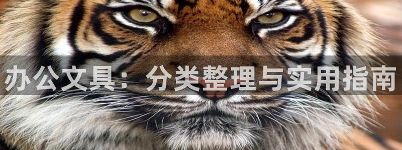 彩名堂4.3：办公文具：分类整理与实用指