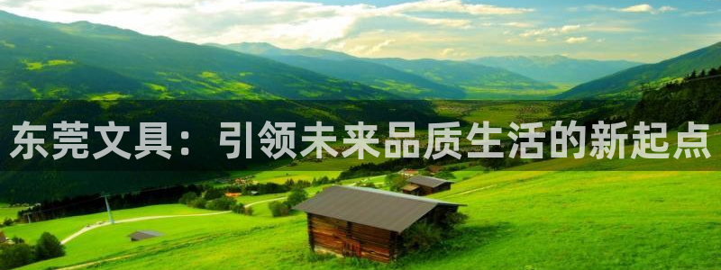 彩名堂怎么样：东莞文具：引领未来品质生活