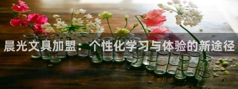 彩名堂50版本计划：晨光文具加盟：个性化