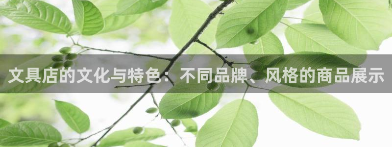 彩名堂客户端是永久免费吗：文具店的文化与