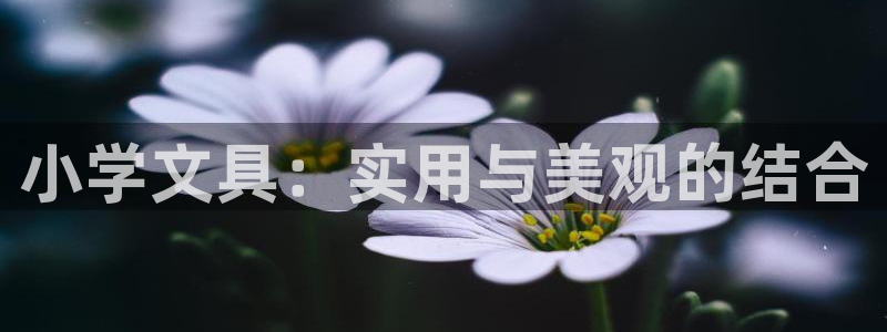 彩名堂app2.05版本：小学文具：实用
