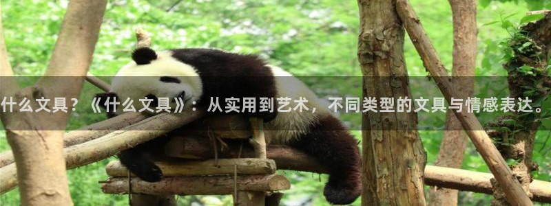 最新彩名堂计划：什么文具？《什么文具》：