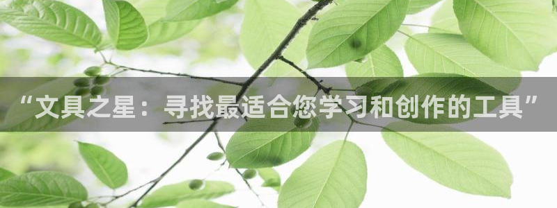 为什么彩名堂今天不能用：“文具之星：寻找