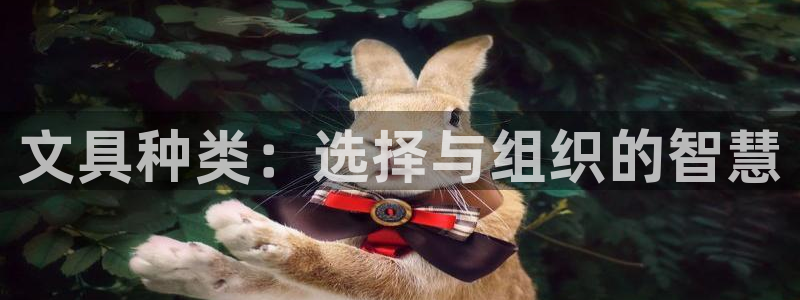 彩名堂最新预测3d：文具种类：选择与组织