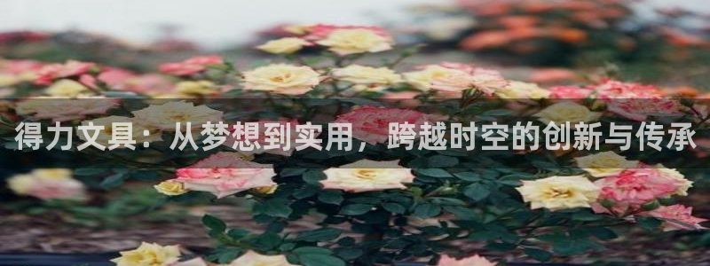 彩名堂为啥又不能用了：得力文具：从梦想到