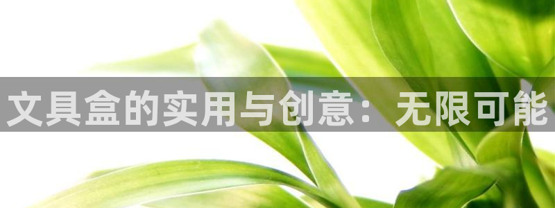 彩名堂预测计划：文具盒的实用与创意：无限