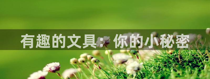 最新彩名堂计划：有趣的文具：你的小秘密
