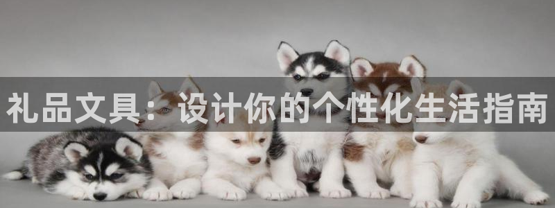 下载彩名堂预测计划软件安全吗：礼品文具：