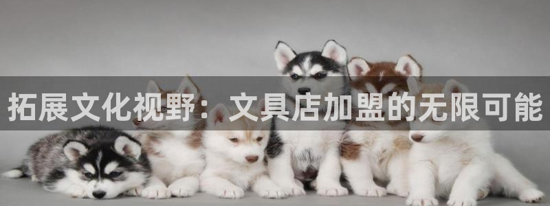 彩名堂免费计划官网50：拓展文化视野：文