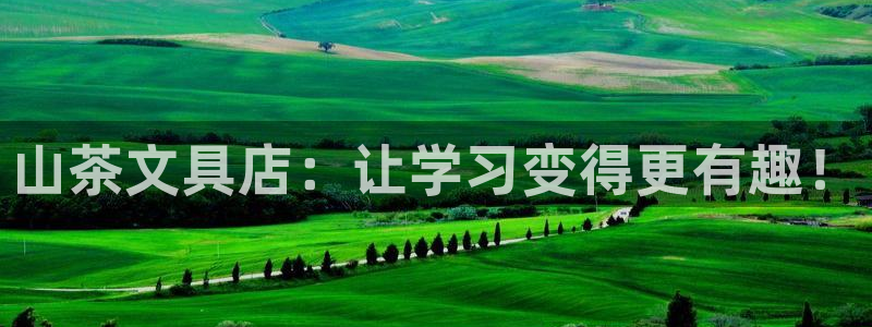 最新彩名堂计划：山茶文具店：让学习变得更