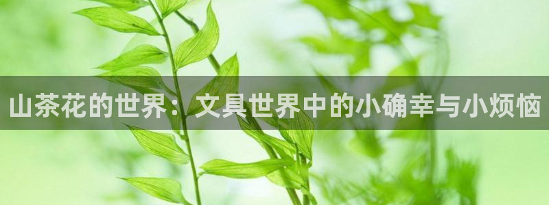 彩名堂最新预测3d：山茶花的世界：文具世