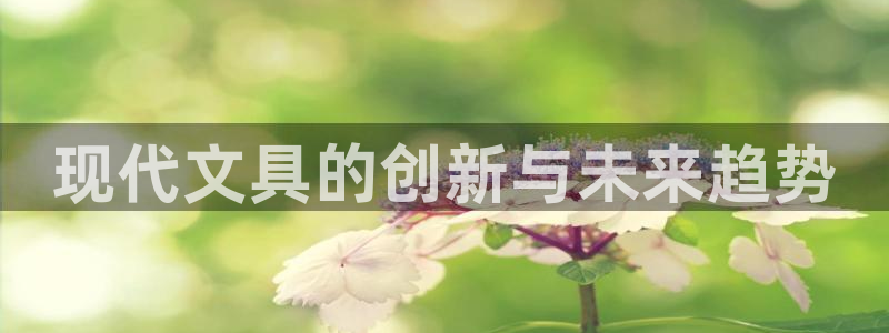 彩名堂官网2：现代文具的创新与未来趋势